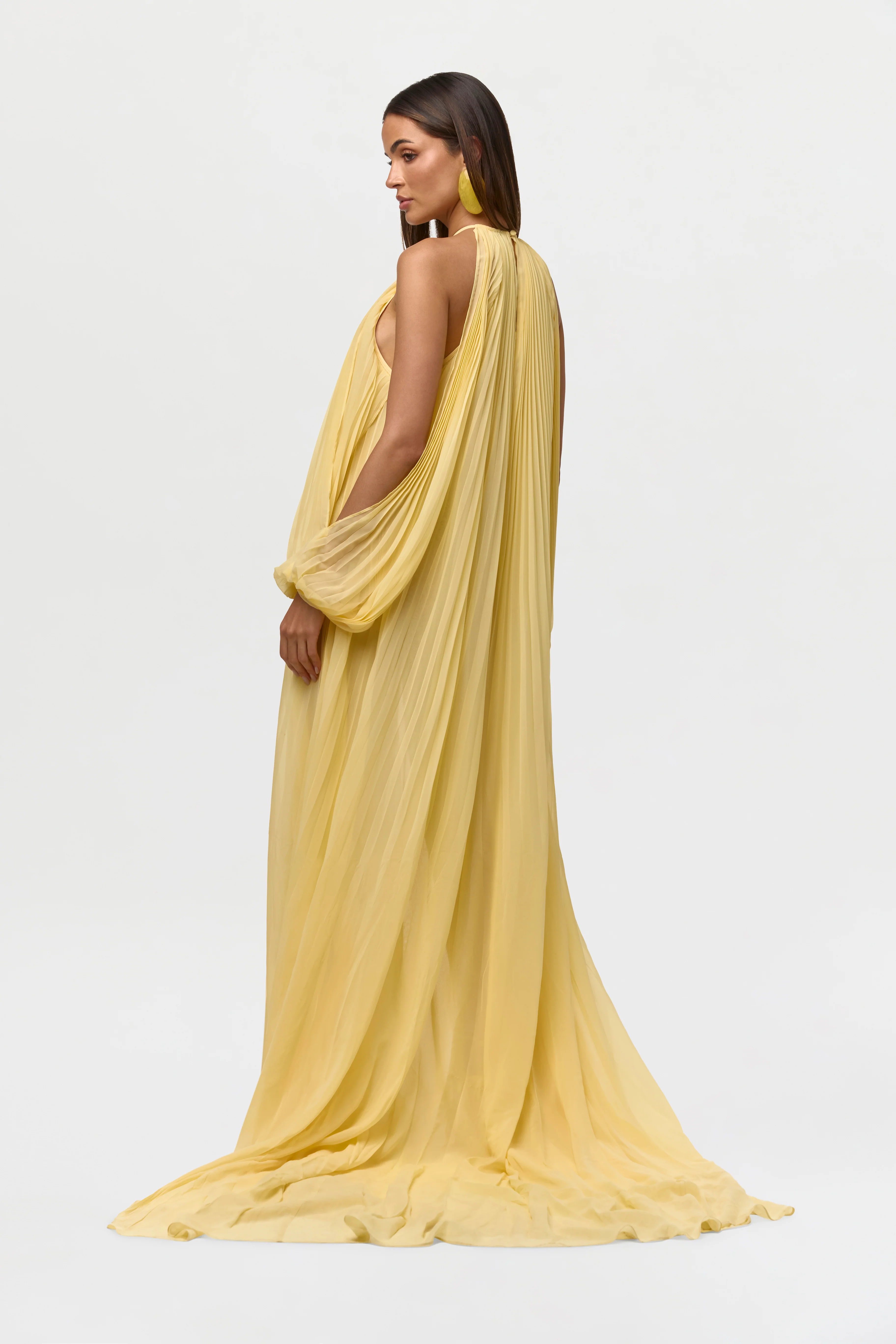 Chiffon Pleated Gown - Image 6